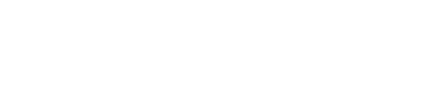 solartrader logo white